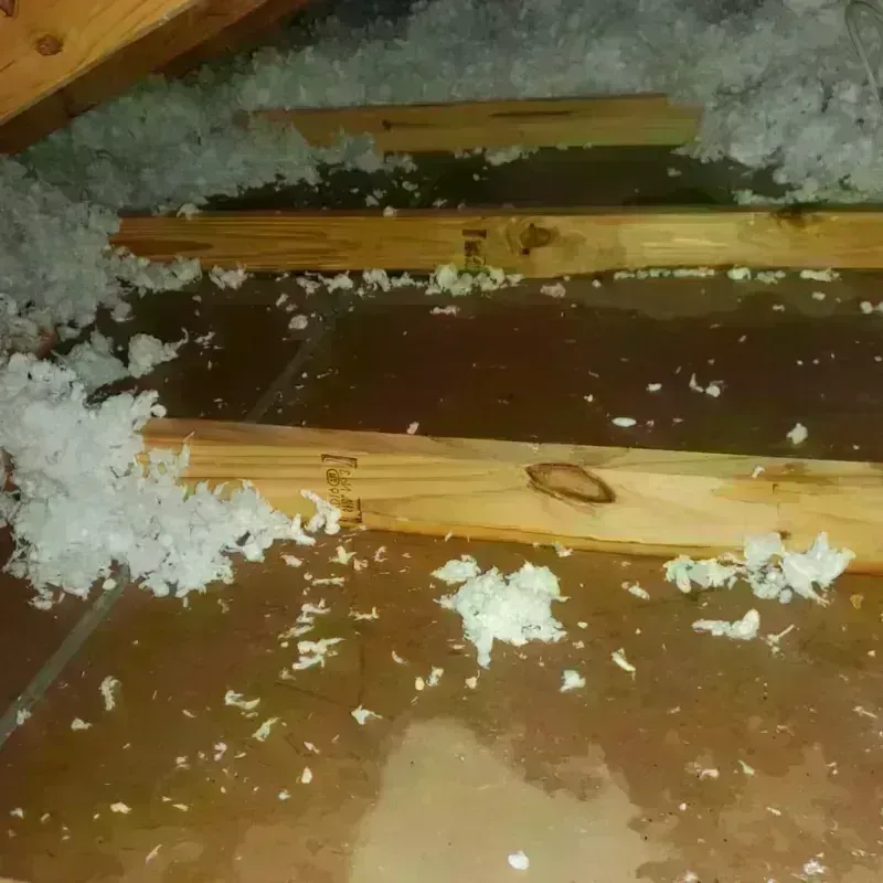 Attic Water Damage in Bonny Doon, CA